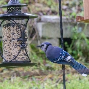 Meet your Posher, Scott